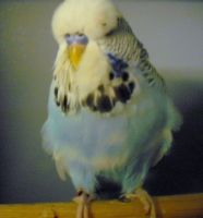 2012 012.jpg